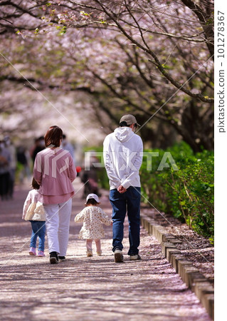 散步在櫻花公園的父母和孩子 散步在櫻花公園的父母和孩子 101278367