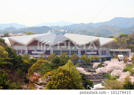 Kitakyushu Municipal General Gymnasium and cherry blossoms 101278415