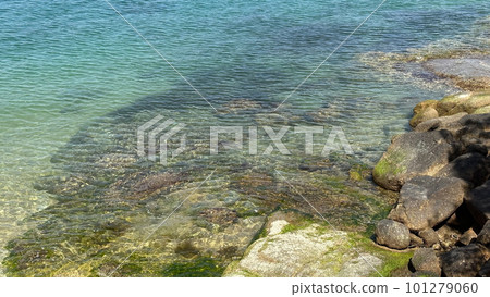 清澈的海水。 清澈的海水。 101279060
