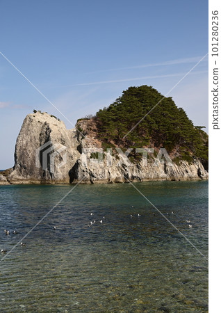 春天Jodogahama 101280236