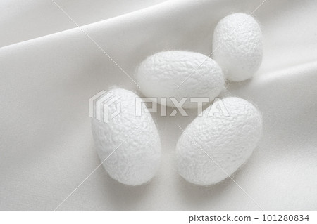 絲綢和眉毛 101280834