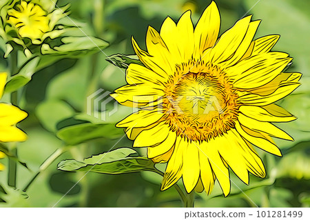 粉彩風格“向著太陽綻放的向日葵”插圖圖像 粉彩風格“向著太陽綻放的向日葵”插圖圖像 101281499