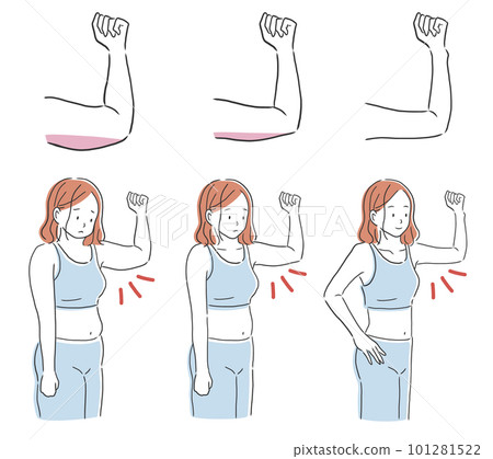 Illustration material of a woman with 3 patterns of upper arm thickness Illustration material of a woman with 3 patterns of upper arm thickness 101281522