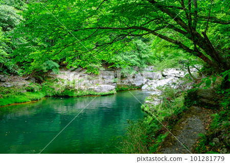 Fresh green Okutsu Valley 101281779