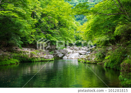 Fresh green Okutsu Valley Fresh green Okutsu Valley 101281815
