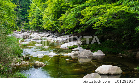 Fresh green Okutsu Valley 101281934