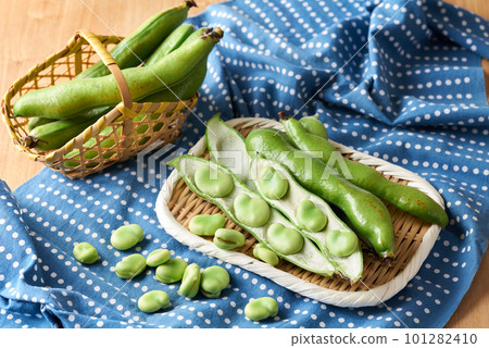 Broad beans served in a colander (raw ingredients) 101282410