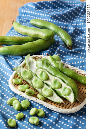 蠶豆漏勺（原料） 101282413