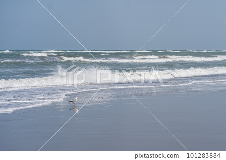 Seascape in blue tones. Beautiful sea background. 101283884