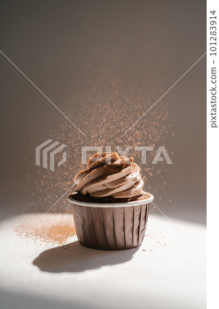 Cupcake on a dark background, which is sprinkled on top. Cupcake on a dark background, which is sprinkled on top. 101283914