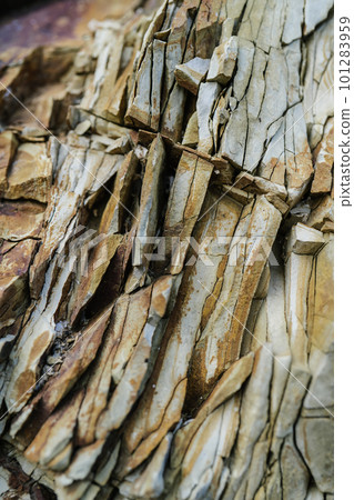 The rocky texture of an old sea stone. 101283959