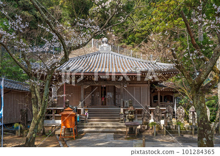 [23rd Fudasho] Spring Yakuoji Temple Daishido [88 places in Shikoku] 101284365