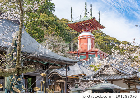 【第23复田所】春天藥王寺大雄寶塔【四國88寺院】 【第23复田所】春天藥王寺大雄寶塔【四國88寺院】 101285056