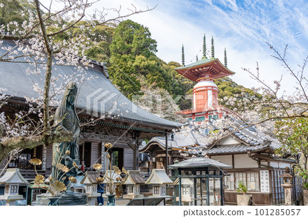 [No. 23 Fudasho] Spring Yakuoji Main Hall Yugi Pagoda [Shikoku 88 temples] 101285057