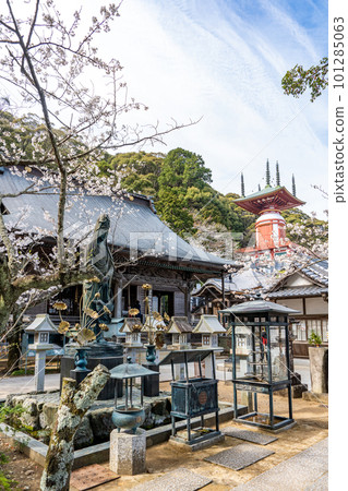 [No. 23 Fudasho] Spring Yakuoji Main Hall Yugi Pagoda [Shikoku 88 temples] 101285063