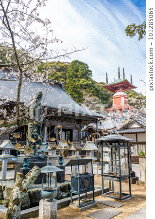 [No. 23 Fudasho] Spring Yakuoji Main Hall Yugi Pagoda [Shikoku 88 temples] 101285065