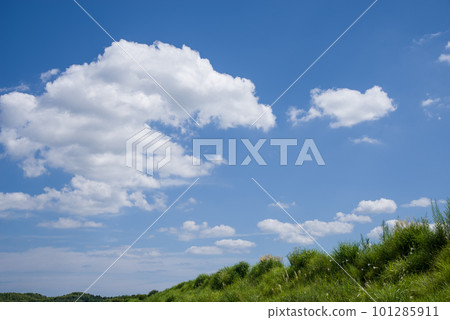 Summer blue sky and white clouds [background material] 101285911