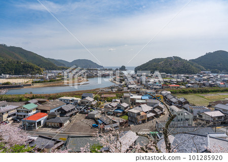 [No.23 Fudasho] Yakuoji Temple Minami Town [四國88寺廟]的春天景色 101285920