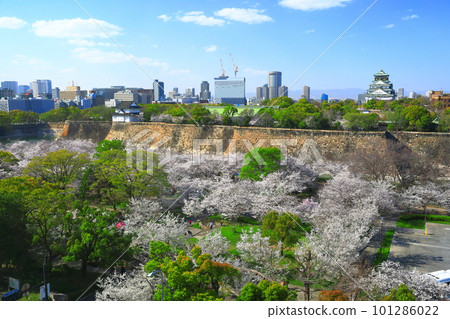 [Osaka Prefecture] Osaka Castle Park with cherry blossoms in full bloom 101286022