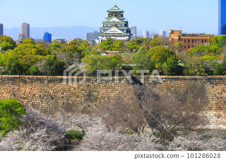 【大阪府】櫻花盛開的大阪城公園 【大阪府】櫻花盛開的大阪城公園 101286028