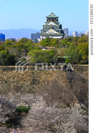 【大阪府】櫻花盛開的大阪城公園 【大阪府】櫻花盛開的大阪城公園 101286030