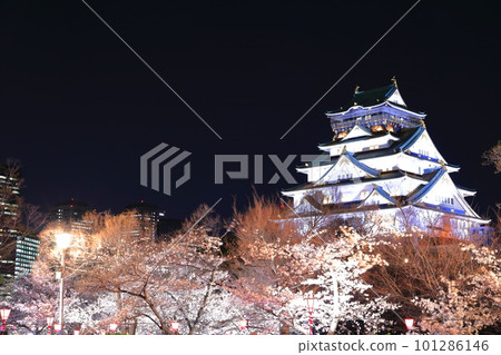 【大阪府】夜晚櫻花盛開的大阪城和大阪商業園 【大阪府】夜晚櫻花盛開的大阪城和大阪商業園 101286146