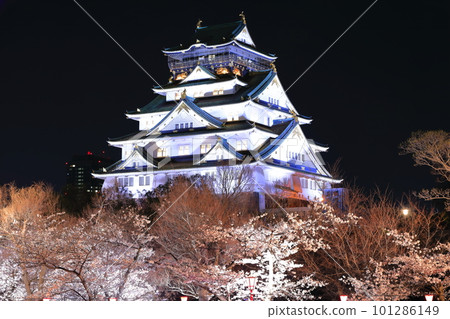 [大阪府]夜晚櫻花盛開的大阪城 101286149