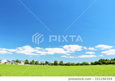 Refreshing blue sky and fresh green park scenery 101286304