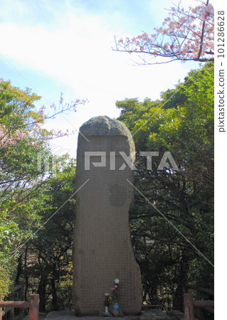 宮本武藏手塚山的銘文石碑和櫻花 101286628