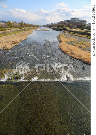鴨川的風景 鴨川的風景 101286663