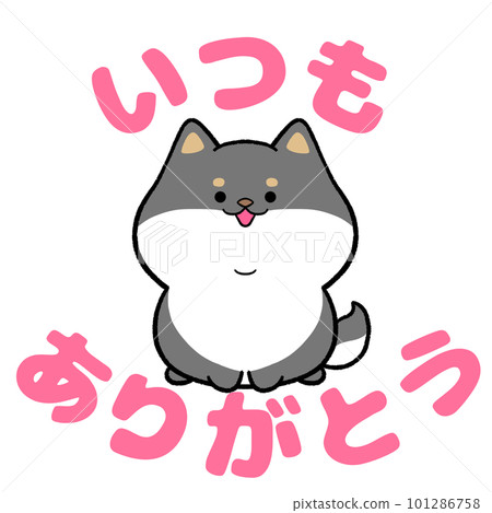 黑柴犬和“永遠謝謝你”的話 101286758