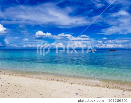 藍色海和藍天 101286801