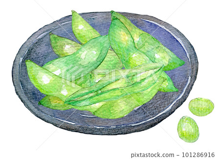 新鮮煮沸的毛豆水彩插圖 新鮮煮沸的毛豆水彩插圖 101286916