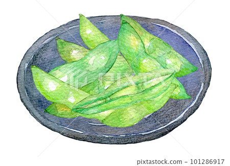 新鮮煮沸的毛豆水彩插圖 新鮮煮沸的毛豆水彩插圖 101286917