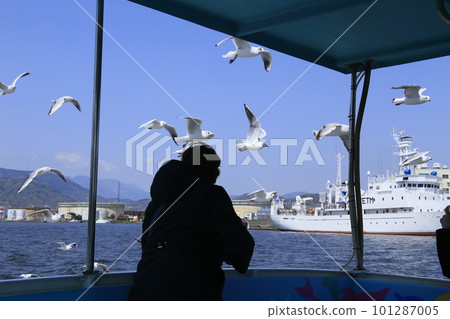 海鷗飛 海鷗飛 101287005