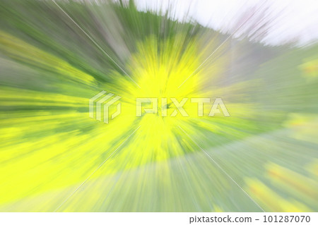 空中飛舞的油菜花 101287070