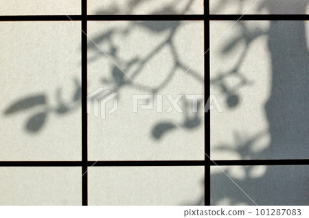 Shoji and shadows Shoji and shadows 101287083