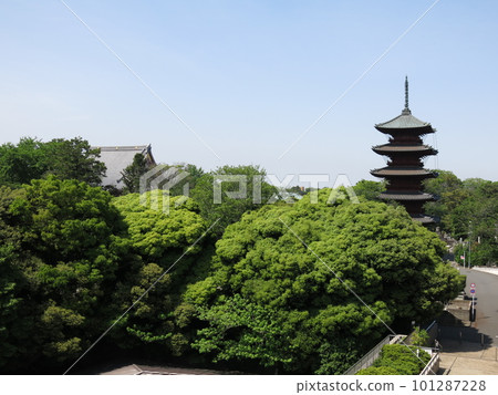 從大田區池上會館的瞭望台眺望(西北側池上本門寺方向) 從大田區池上會館的瞭望台眺望(西北側池上本門寺方向) 101287228