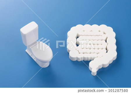 Medical image photo Intestine Stethoscope Toilet Medical image photo Intestine Stethoscope Toilet 101287580