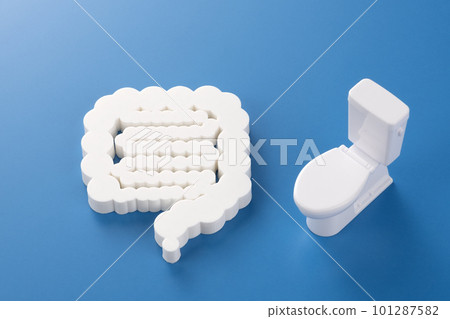 Medical image photo Intestine Stethoscope Toilet Medical image photo Intestine Stethoscope Toilet 101287582