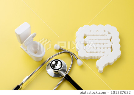 Intestinal model medical image photograph Intestinal model medical image photograph 101287622