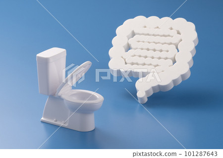 Intestine and toilet model Image photo Intestine and toilet model Image photo 101287643
