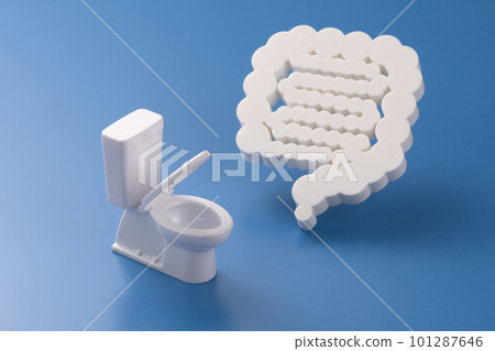 Intestine and toilet model image photo true 101287646
