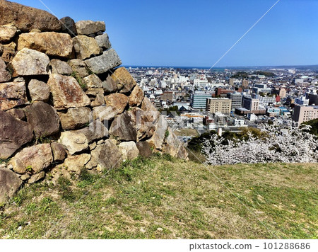 Yonago Castle main enclosure with cherry blossoms and castle tower ruins Yonago Castle main enclosure with cherry blossoms and castle tower ruins 101288686