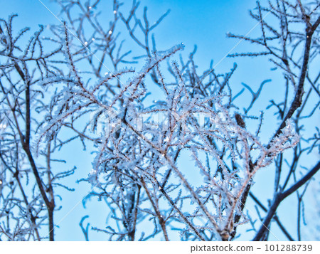 Winter landscape 101288739