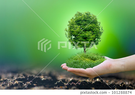 Renewable energy concept Earth Day or environment protection Hands protect forests that grow on the ground and help save the world. Renewable energy concept Earth Day or environment protection Hands protect forests that grow on the ground and help save the world. 101288874