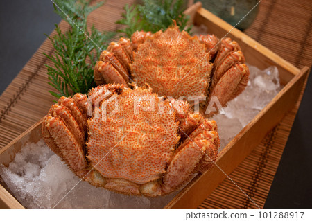 2 hairy crabs (2) 101288917