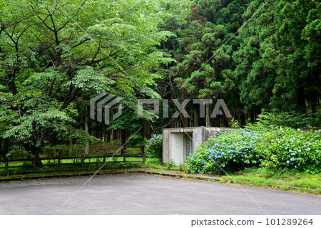 美山水庫附近的風景 #25 101289264