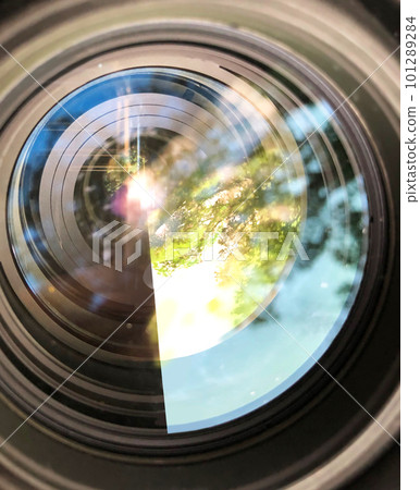 Scenery of fresh green leaves transferred to the camera lens 101289284