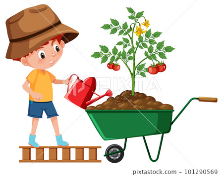 A boy watering plant in wheelbarrow A boy watering plant in wheelbarrow 101290569
